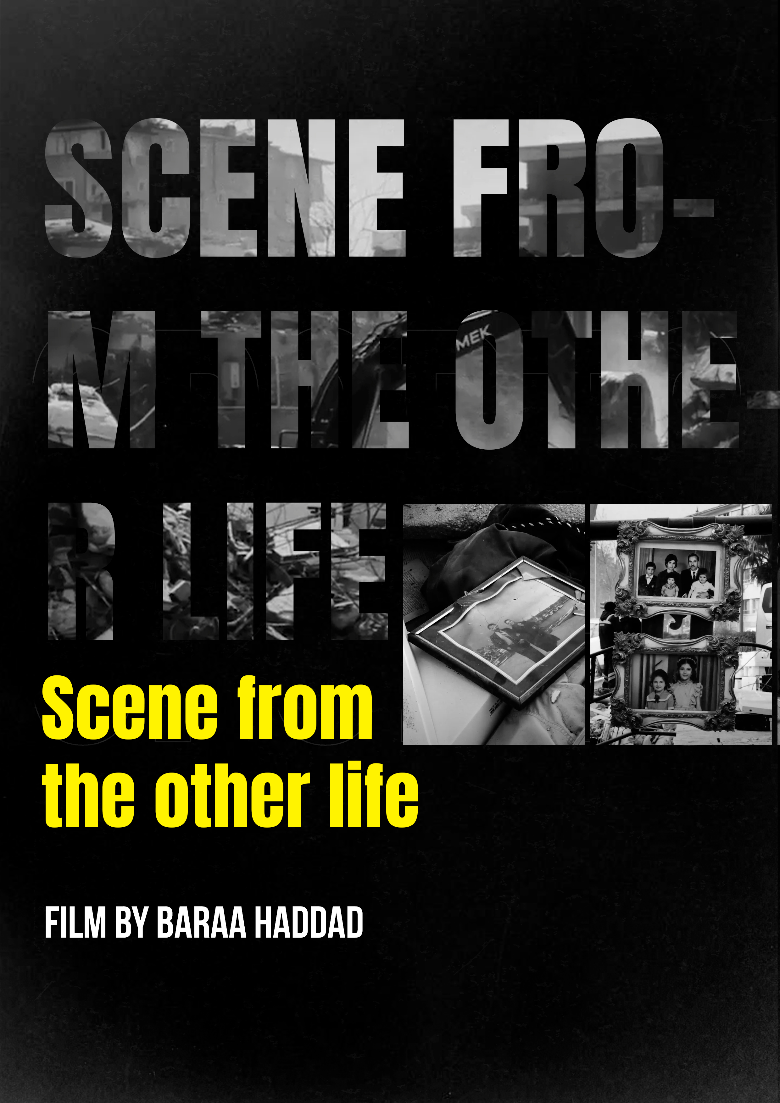 Scenes from the other life 